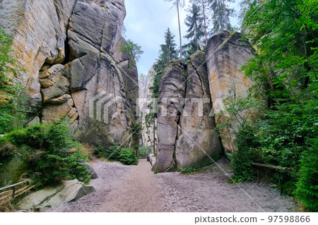 Hiking trail in the mountains. Hiking. Hiking in the mountains and forest. 97598866