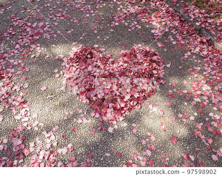 Heart made of fallen leaves Heart made of fallen leaves 97598902