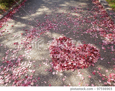 hearts on the road hearts on the road 97598903
