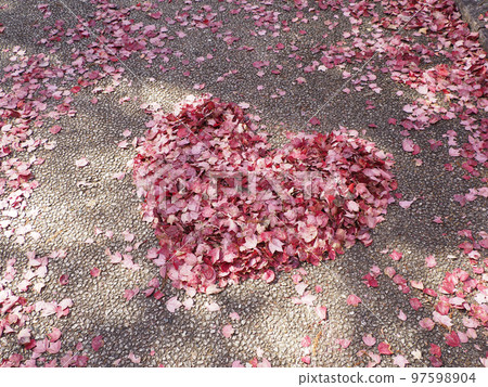 heart made of leaves heart made of leaves 97598904
