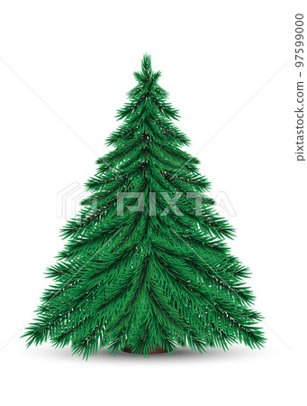 Real Christmas spruce tree on stand.  97599000