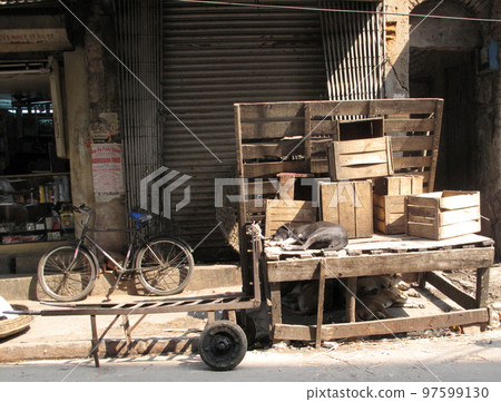 Streets of Kolkata. Stray dogs is sleeping in the street. Streets of Kolkata. Stray dogs is sleeping in the street. 97599130