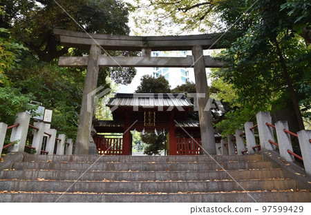 Autumn Konno Hachimangu Shrine, Tokyo 97599429