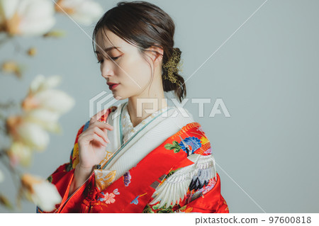 紅色配色方案 紅色配色方案 97600818