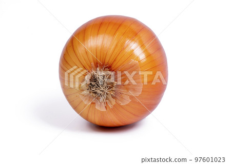 Onions isolated on white background 97601023