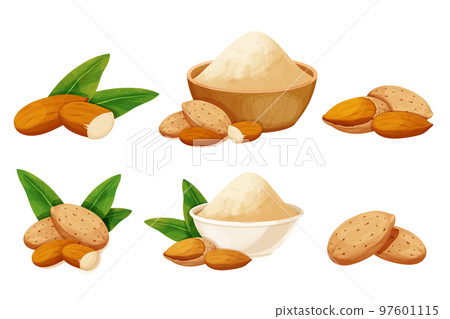 Set almond in nutshell with leaves detailed raw nut, almond powder in bowl organic product, ingredient in cartoon style isolated on white background. Ripe plant, snack. 97601115