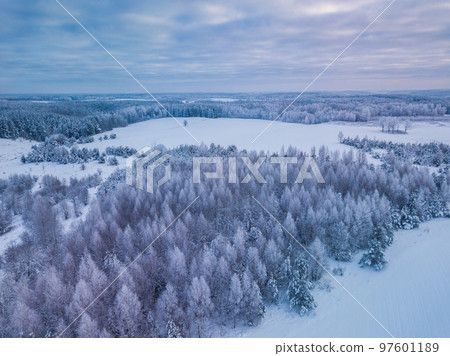 Aerial photo of winter forest surrounded by birch forest. Drone shot of trees covered with hoarfrost and snow. Natural winter background 97601189