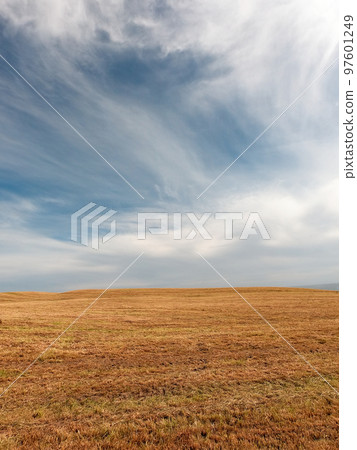 Beautiful sky with cirrus clouds over farmlands. Agricultural field. 97601249