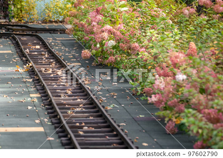 Outdoor railway attraction with flowers blooming Outdoor railway attraction with flowers blooming 97602790