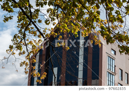 Brown walls with glass details in tree branches Brown walls with glass details in tree branches 97602835