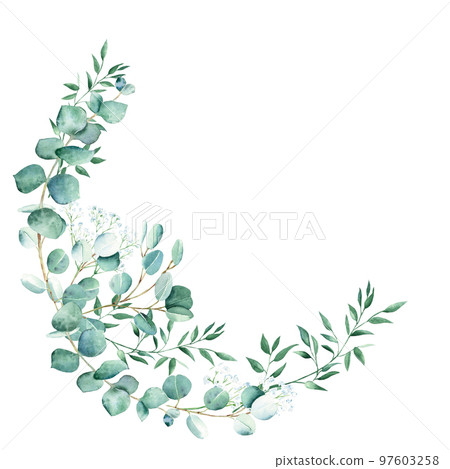 Watercolor greenery wreath, eucalyptus, gypsophila and pistachio branches. Rustic foliage. Hand drawn botanical illustration isolated on white background. Ideal for stationery, invitations, save the 97603258