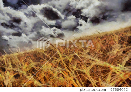 Field of wheat Field of wheat 97604032