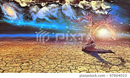 Old tree in arid land 97604033