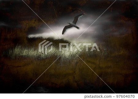 Seagull in dark landscape 97604070