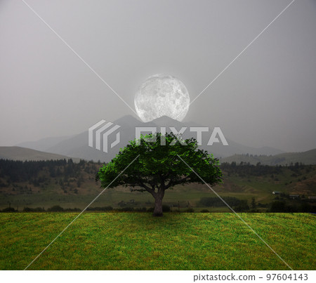 Tree of Life 97604143