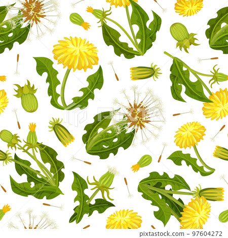 Dandelion Seamless Pattern Design with Flowering Plant with Yellow Flower Head Vector Template 97604272