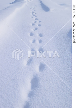 山形縣莊內市大雪地區的雪景 97604403