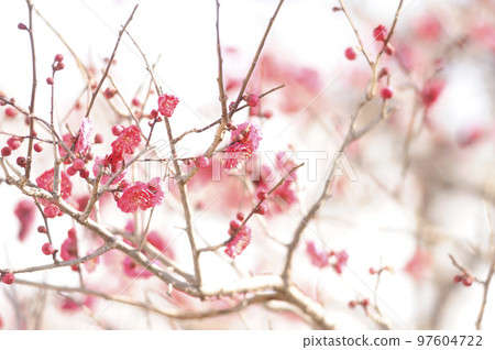 拜林公園 拜林公園 97604722
