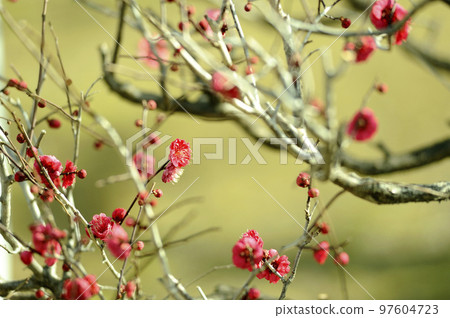 拜林公園 拜林公園 97604723