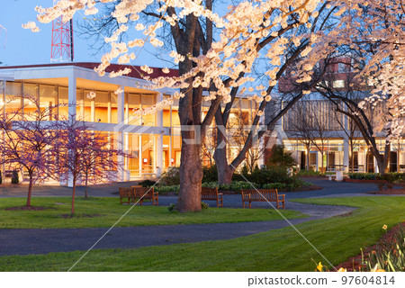 Campus Spring Time Landscape Campus Spring Time Landscape 97604814