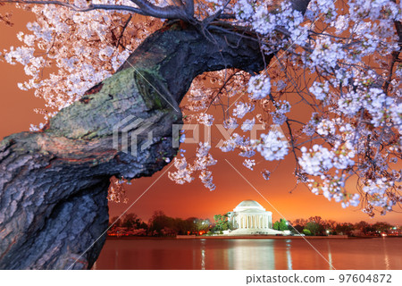 Washington, DC at the Jefferson Memorial during Spring 97604872