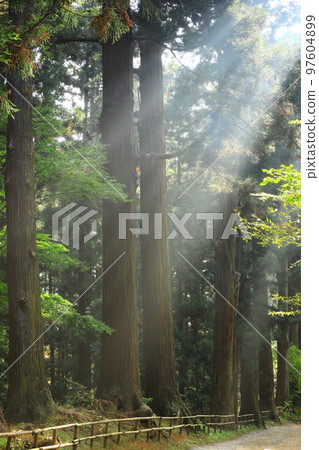 秋天的中尊寺,岩手縣平泉町,世界遺產 秋天的中尊寺,岩手縣平泉町,世界遺產 97604899