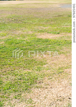 Park plaza ground image 97605491