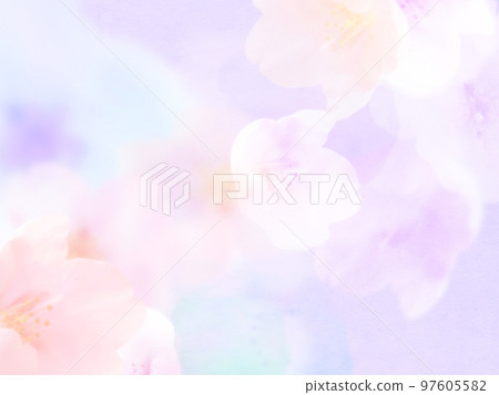 蓬鬆的櫻花背景 97605582