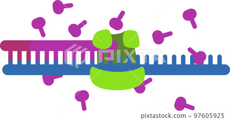 DNA 合成圖像 DNA 合成圖像 97605925