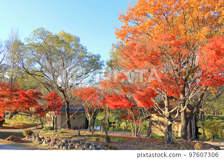Autumn in Azumino Watermill at Daio Wasabi Farm Autumn in Azumino Watermill at Daio Wasabi Farm 97607306