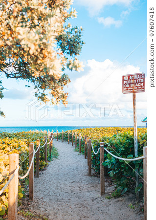 Sand trail to the beach in Florida 97607418