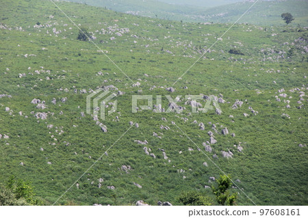 Scenery of Akiyoshidai, a karst plateau designated as a natural monument (Yamaguchi Prefecture) Scenery of Akiyoshidai, a karst plateau designated as a natural monument (Yamaguchi Prefecture) 97608161