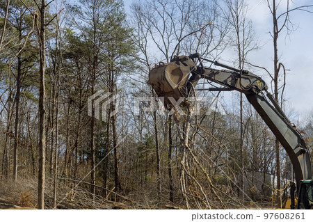 In aftermath of strong hurricane that uprooted trees and broken branches in park tractor removes damaged branches In aftermath of strong hurricane that uprooted trees and broken branches in park tractor removes damaged branches 97608261