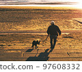 Take a walk on the beach with your dog 97608332
