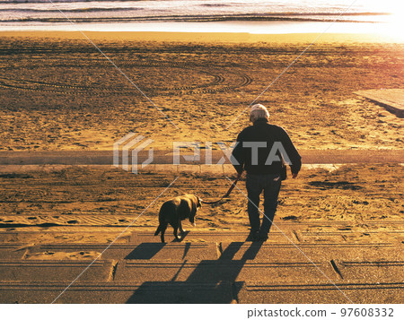Take a walk on the beach with your dog Take a walk on the beach with your dog 97608332