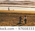 Taking a walk on the beach with my dog 97608333
