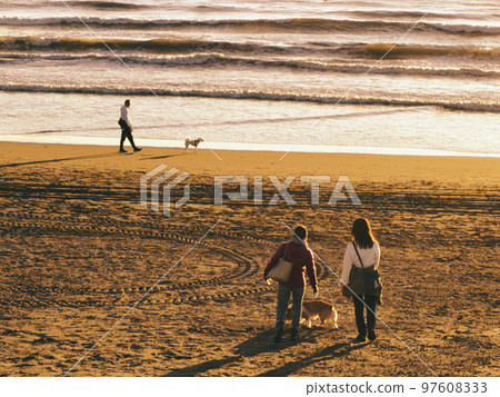 Taking a walk on the beach with my dog Taking a walk on the beach with my dog 97608333