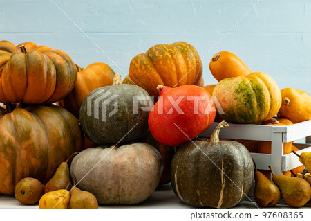 Pile of pumpkins in a wooden box 97608365