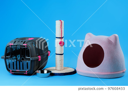 Set of pet supplies for kitty cat on blue background 97608433