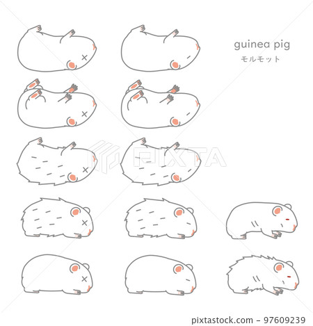 Vector illustration set of sick guinea pig (pet, for experiment) 97609239
