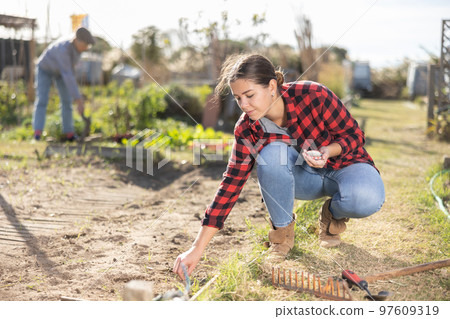 Hardworking young female farmer planting vegetable seeds in soil during season of sowing on sunny day in May 97609319