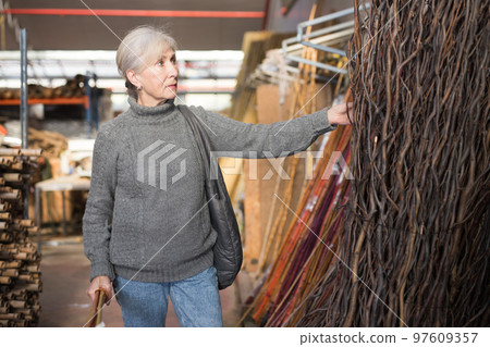 Senior woman choosing decorative branches in store Senior woman choosing decorative branches in store 97609357