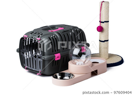 Set of pet supplies for kitty cat isolated on white 97609404