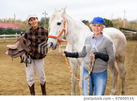 Women ranchers preparing white horse for ride 97609534