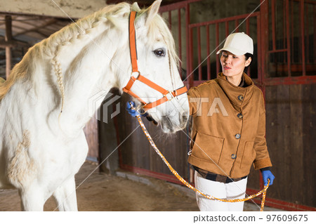 Asian female stable worker leading horse by bridle in barn 97609675