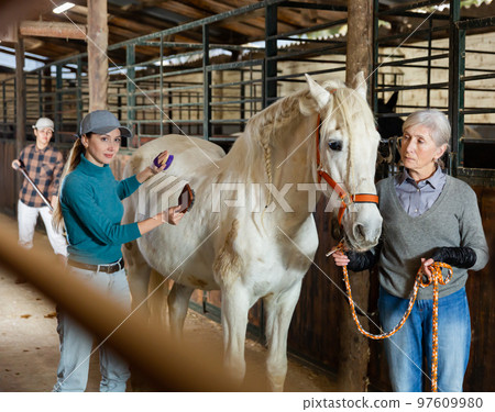 Aged farmer woman with young female assistant caring white horse in stable 97609980