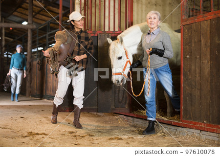 Older woman rancher leading horse out of stall while Asian woman holding saddle Older woman rancher leading horse out of stall while Asian woman holding saddle 97610078
