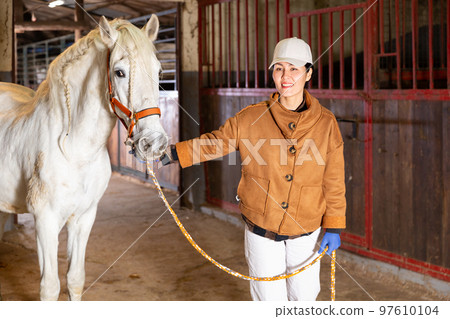 Horse breeder leading white horse through horse barn Horse breeder leading white horse through horse barn 97610104
