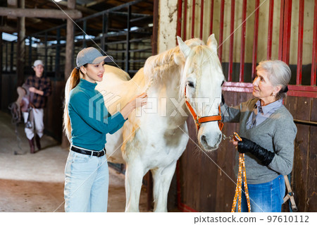 Girl braiding mane of racehorse while aged woman holding obedient animal Girl braiding mane of racehorse while aged woman holding obedient animal 97610112