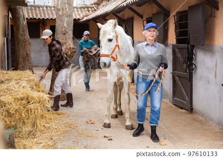 Women horse ranchers preparing horse for ride Women horse ranchers preparing horse for ride 97610133